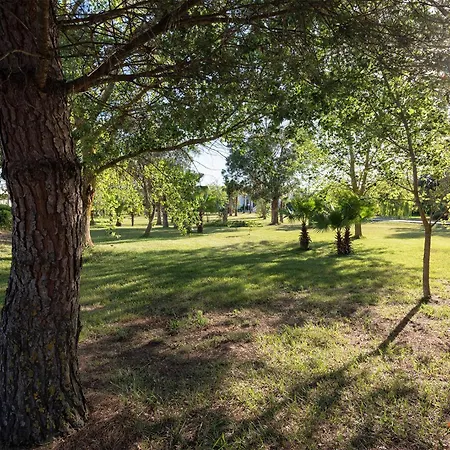 Le Muse 카르피냐노 살렌티노