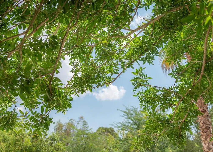 Le Muse ホテル 3*